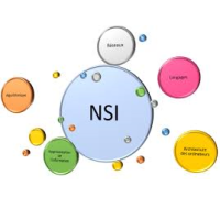 Les projets en terminales NSI