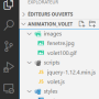 vscode_animation_volet.png