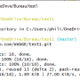 gitclone.png