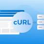 curl.jpg