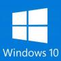 w10ico.jpg