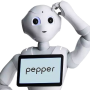 pepper.png