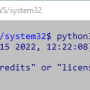 wsl.png