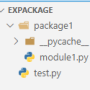 exmodule.png
