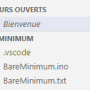 bareminimum2.png.png