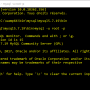 mysqlconsole.png